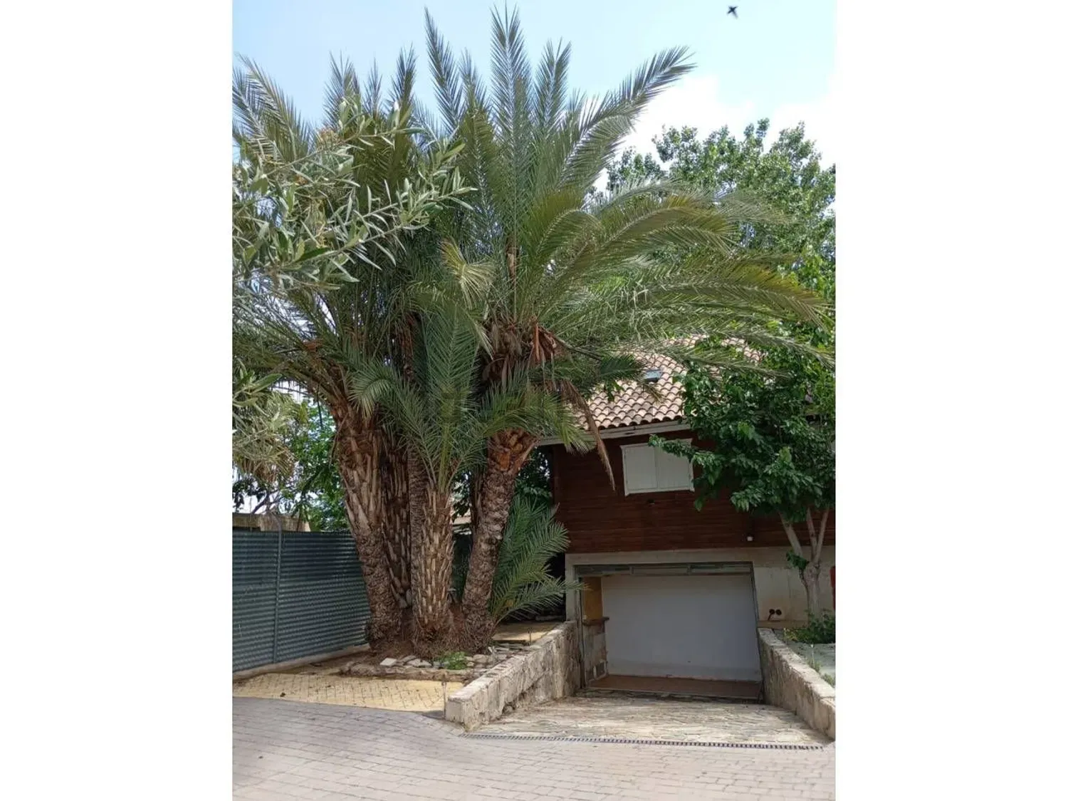 Chalet met grote tuin en zolder Santo Ángel Murcia
